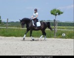 Cours de dressage (Julie/ Roi)