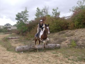 Bertille et Maddisson