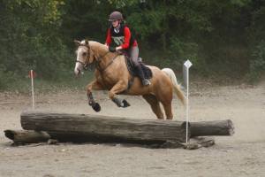 Peppy et Dorine sur le croos