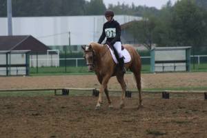 Dorine et Peppy sur le plat