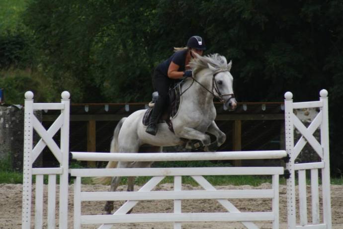 rouget star du rouget